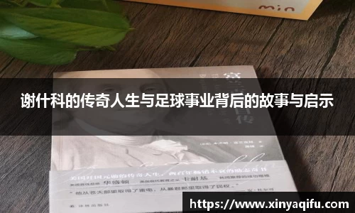 谢什科的传奇人生与足球事业背后的故事与启示